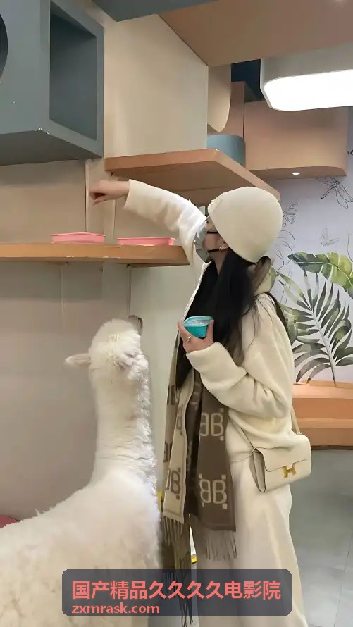 国产精品久久久久电影院推荐影片三